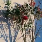 Fast And Easy Money Spells Chants That Really Work