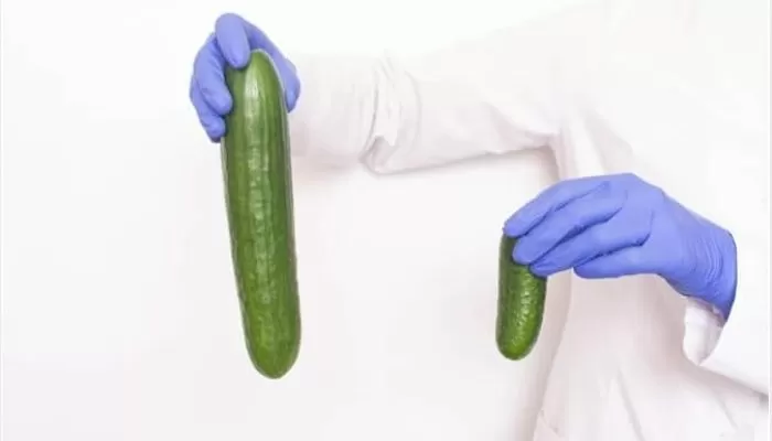 mutuba seed oil benefits, mutuba seed oil review, does mutuba seed work, how to use, mutuba seed, where to get mutuba seed, where to buy mutuba seed, mutuba seed wikipedia, mutuba seed oil price.